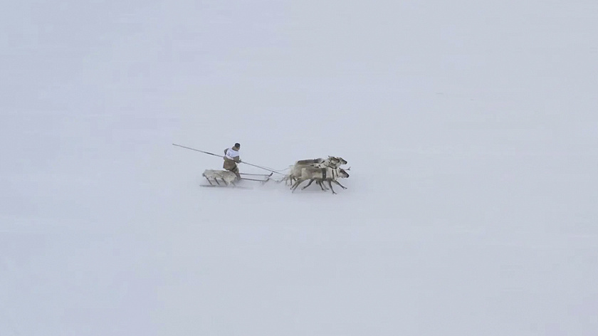 Праздник, который объединяет. Юбилейный День оленевода в Новом Порту