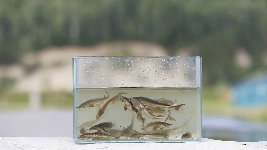 Фото: Сергей Полюхов