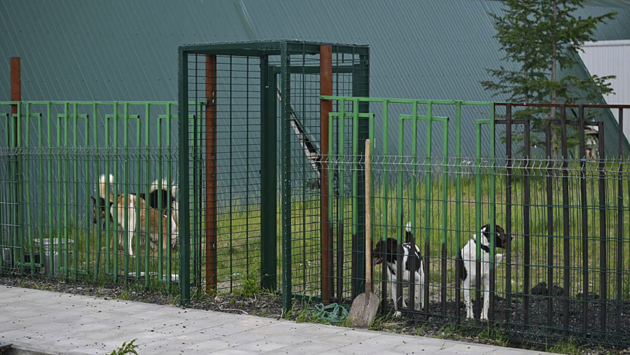 Фото: Tелеграм | Антон КОЛОДИН | НОВЫЙ УРЕНГОЙ