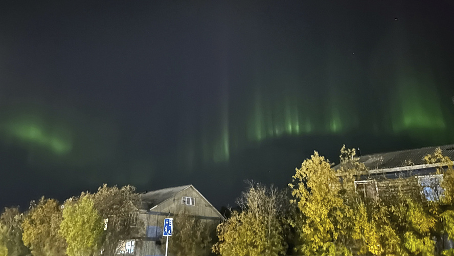 Фото: Валерия Селезнева