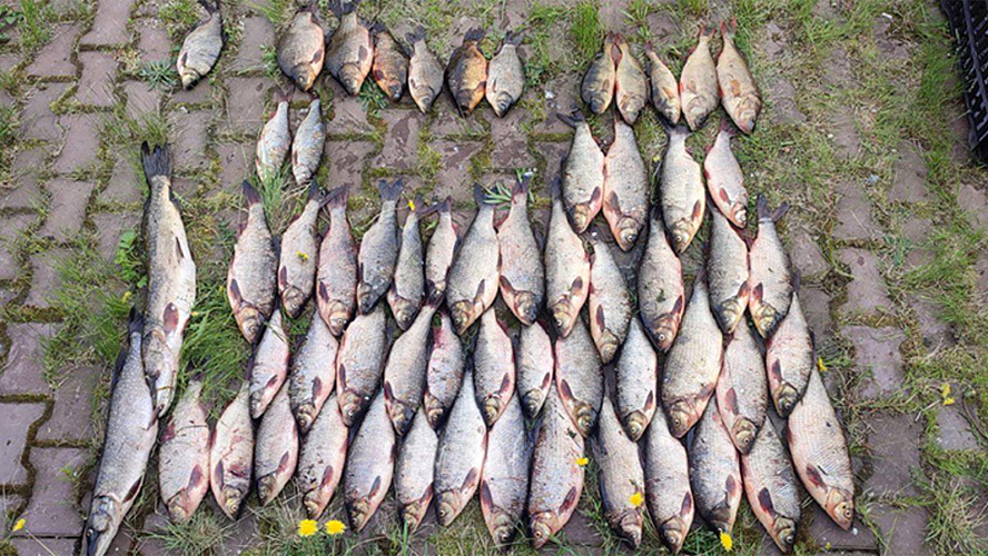 Фото: Tелеграм | Полиция Югры