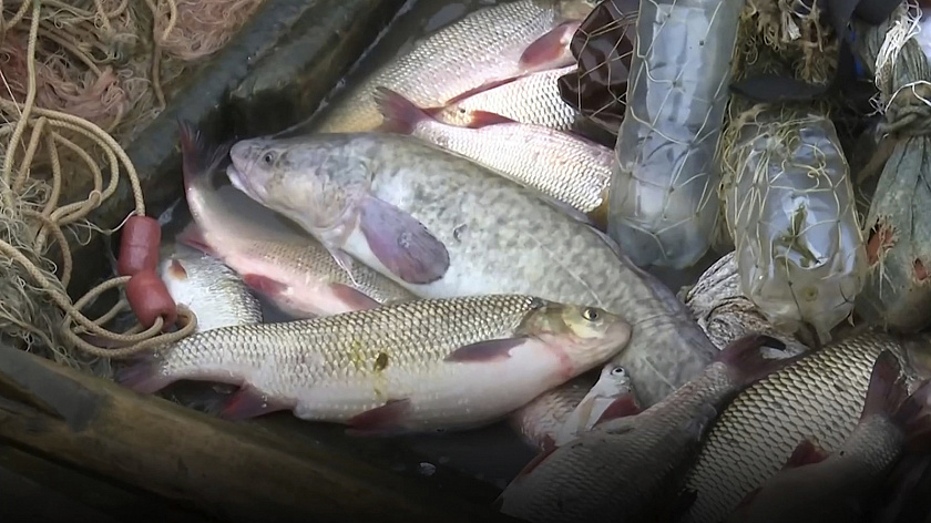 Ямальские власти обратятся в Росрыболовство для пересмотра законов