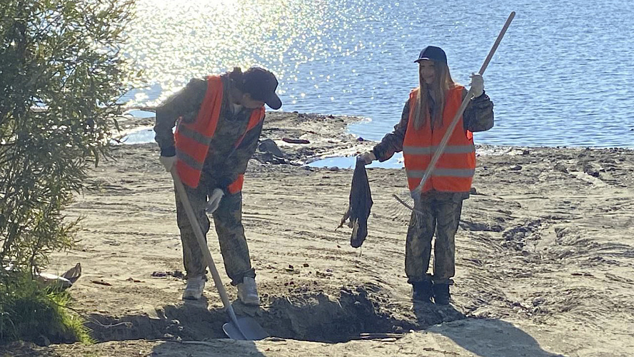 Фото: Tелеграм | Лабытнанги + Харп