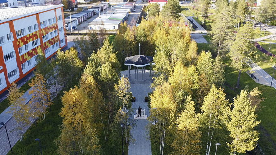 Фото: Tелеграм | Елена Молдован