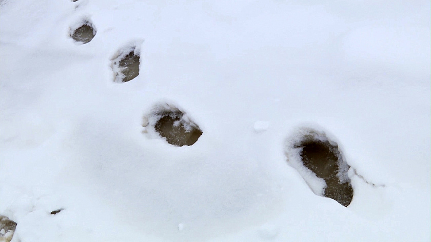 В Свердловской области с начала года из-за тонкого льда на водоемах погибли 42 человека