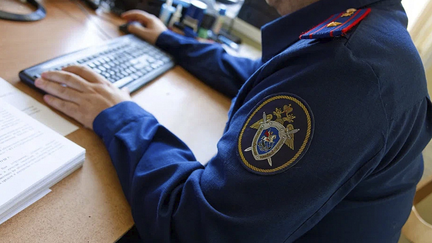 Афера с детскими пособиями стоила жительнице Ноябрьска свободы