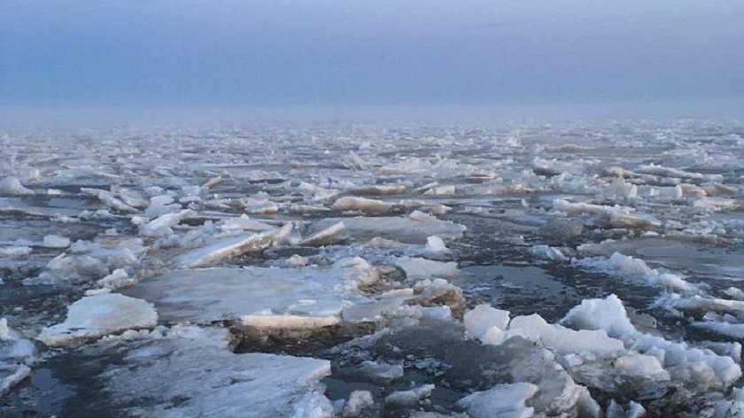 На Ямале спасли мужчину, которого «взял в заложники» ледоход. ВИДЕО