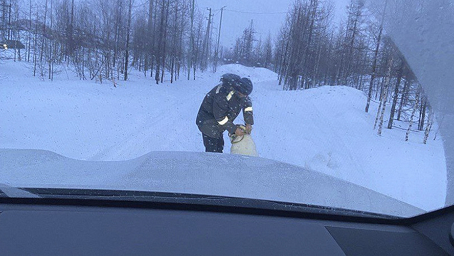 Фото: ВКонтакте | Аварийный Новый Уренгой