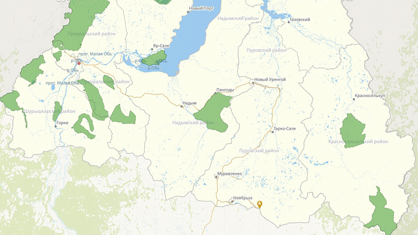 Под Ноябрьском разбушевался природный пожар