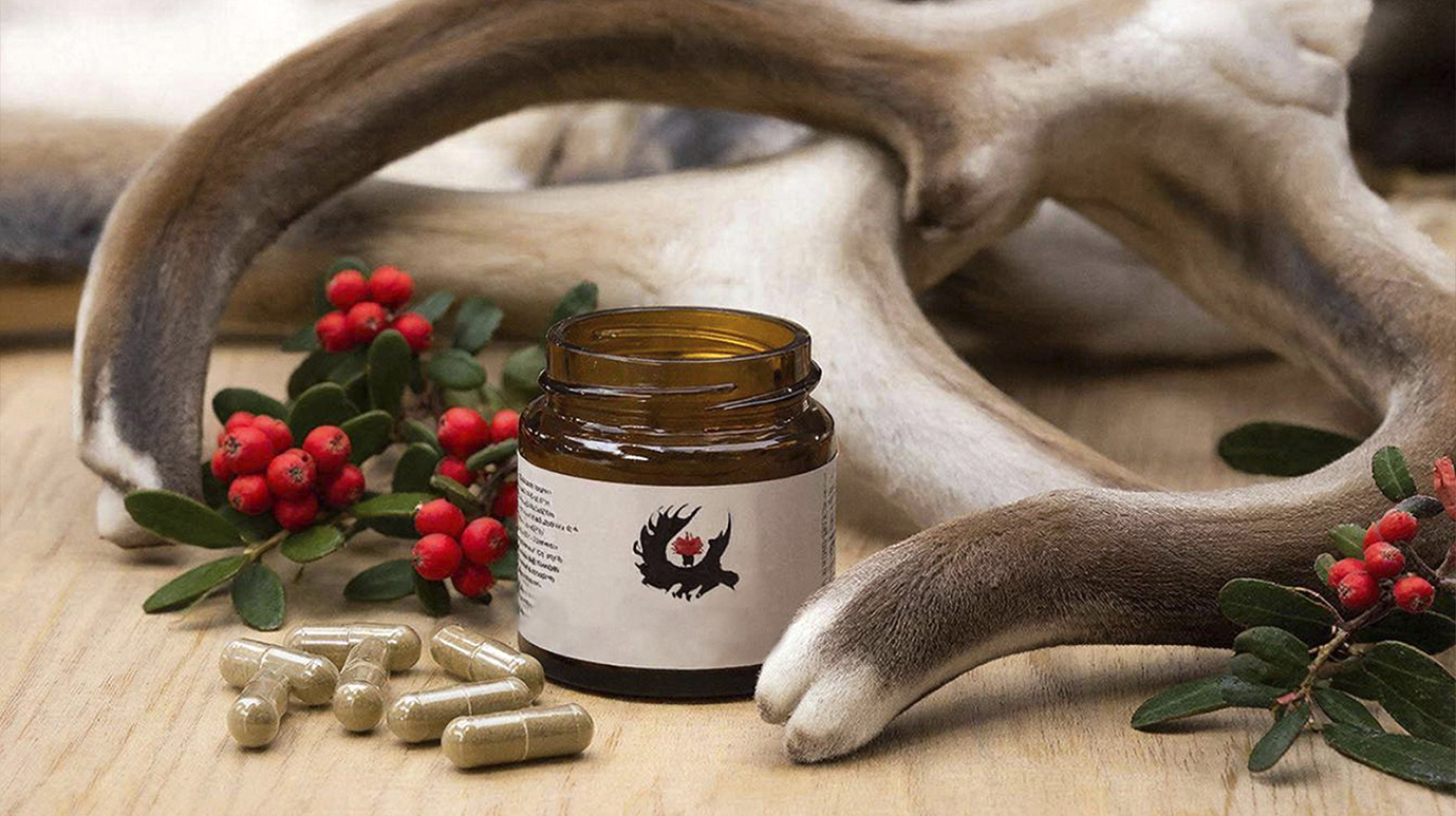 Жительница Лабытнанги разработала БАД  из рогов северного оленя