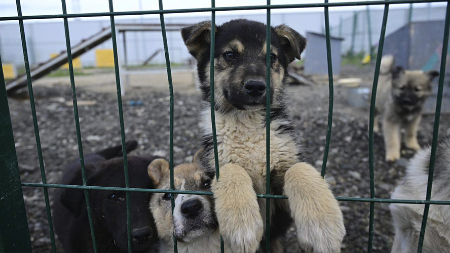 Фото: Tелеграм | Антон КОЛОДИН | НОВЫЙ УРЕНГОЙ