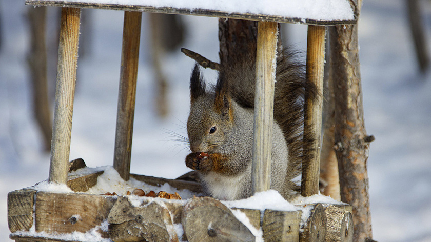 В Югре появятся шесть новых особо охраняемых природных территорий