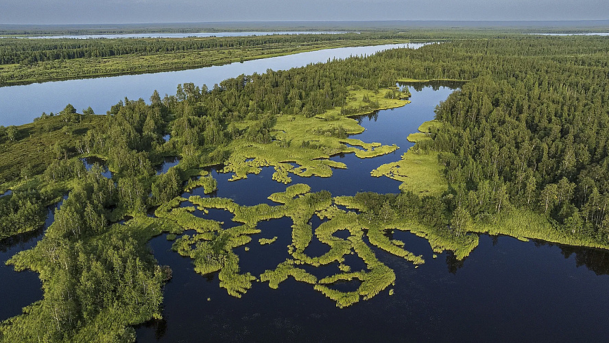 Фото: Данил Хусаинов