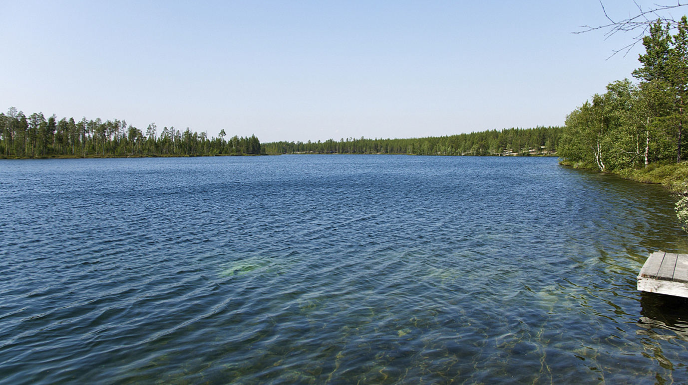 В Ноябрьске готовятся проверить озеро Светлое на паразитов