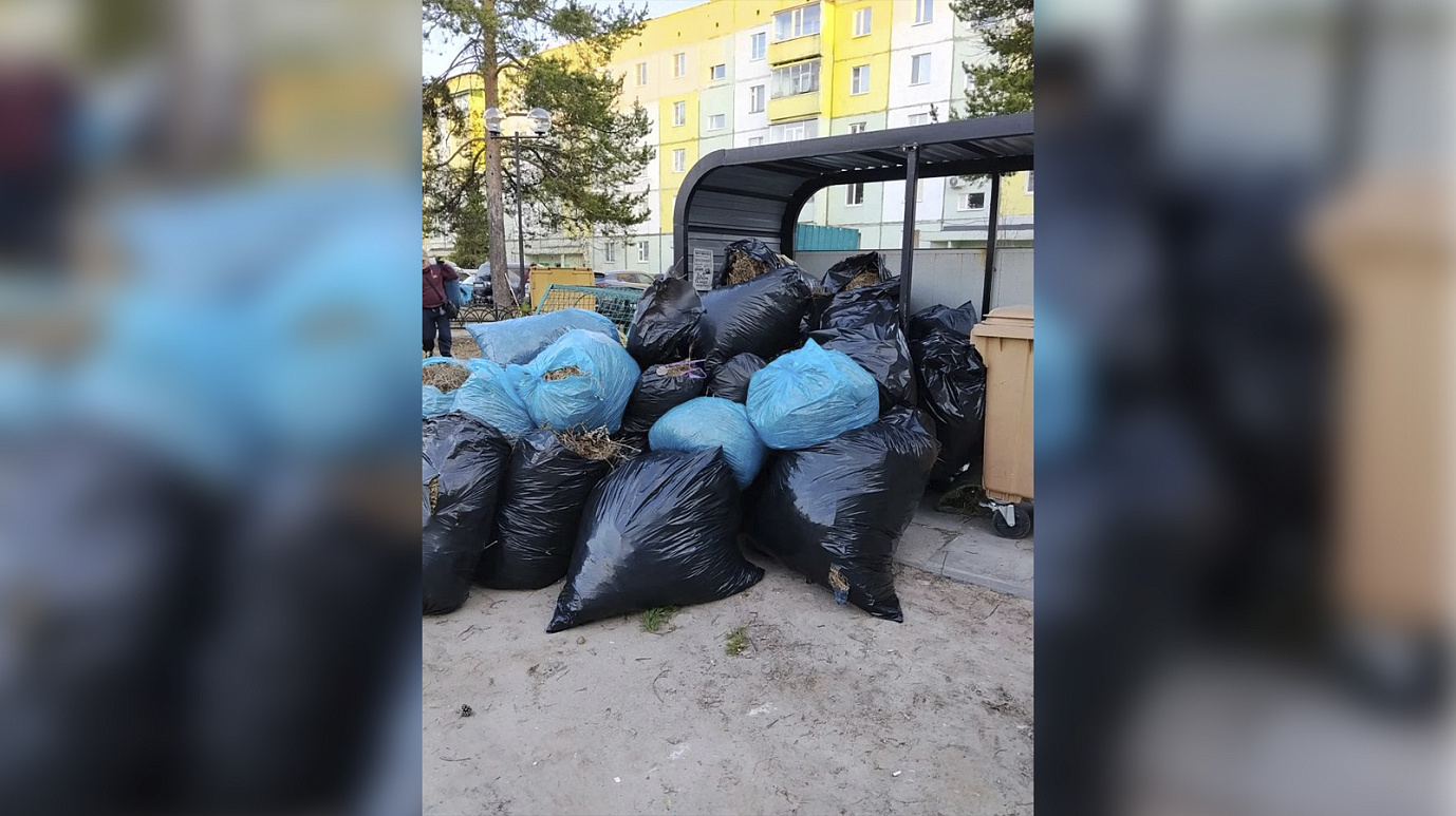 Ноябрьцы за один день собрали 50 мешков мусора на субботнике во дворе