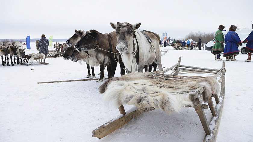 Бутман выиграл поездку на Ямал на закрытии сезона ГУМ-катка