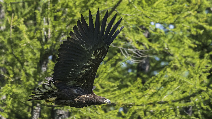 Фото: Данил Хусаинов