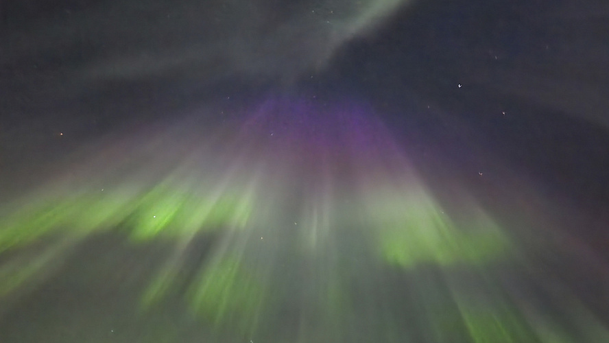 Фото: VK | Боридко Боридко