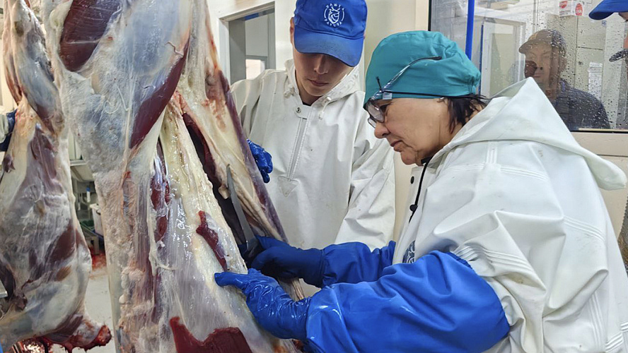 Фото: Марина Трескова | Лабытнанги