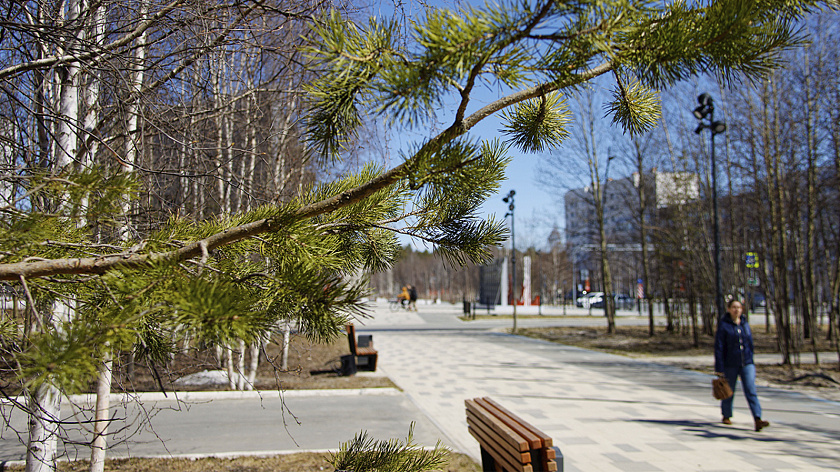 В Красноярске на выходных ожидается потепление до +14 °C