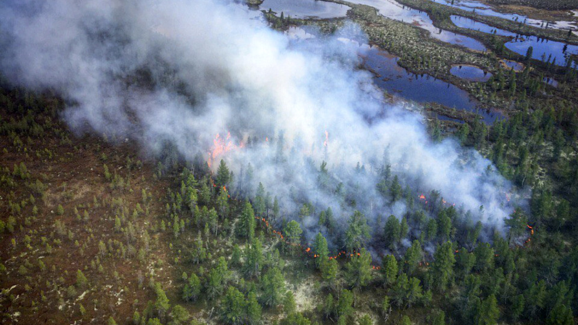 На Ямале действуют три природных пожара 