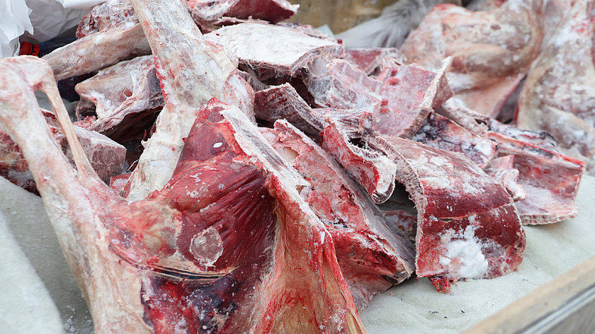 На Ямале стартовала промышленная заготовка мяса оленя