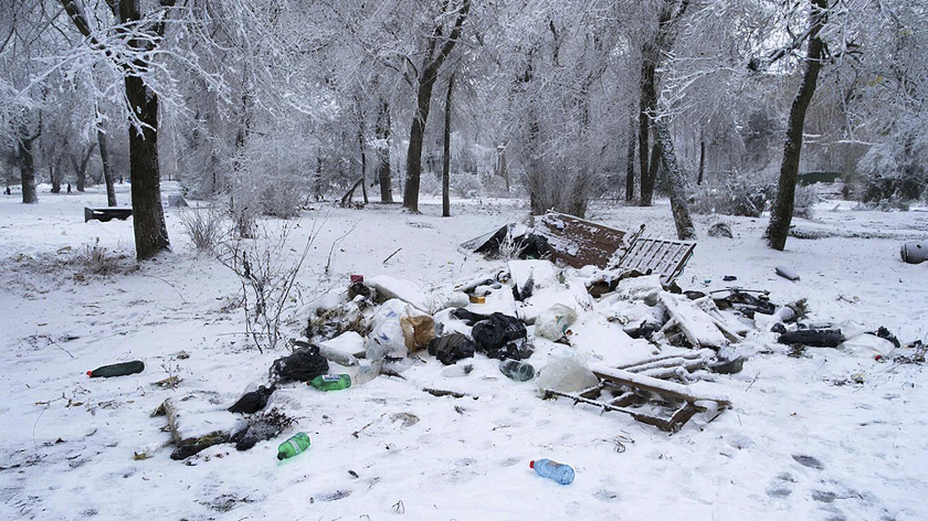 Новоуренгойцы устроили несанкционированную свалку в парке «Дружба»