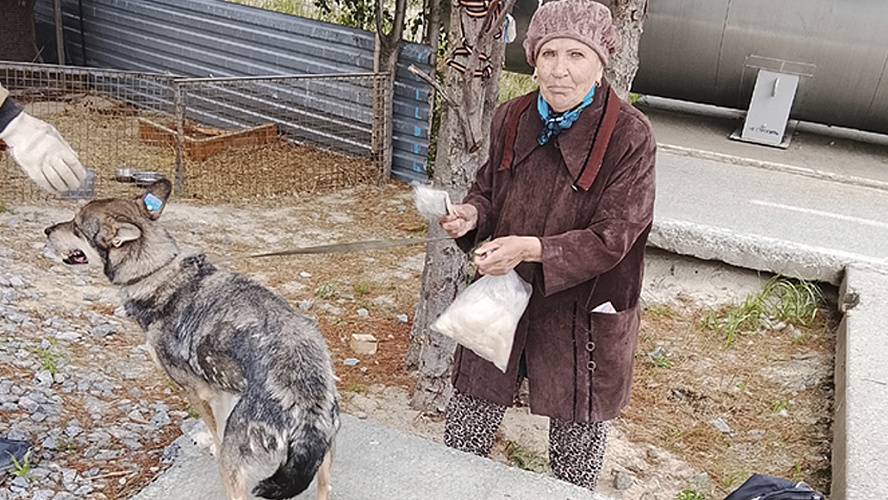 Фото: Приют для животных г.Тарко-Сале