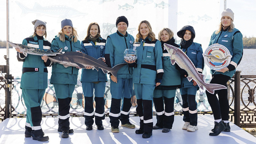 В Нижневартовске в Обь выпустили краснокнижных осетров