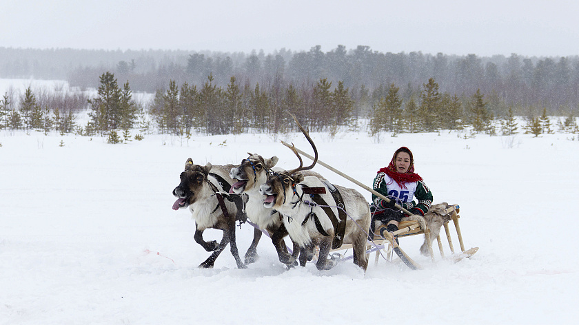 День оленевода будет кочевать по Ямалу до 18 апреля