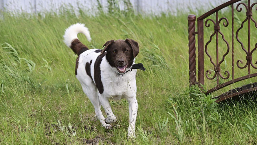 Фото: Tелеграм | Антон КОЛОДИН | НОВЫЙ УРЕНГОЙ