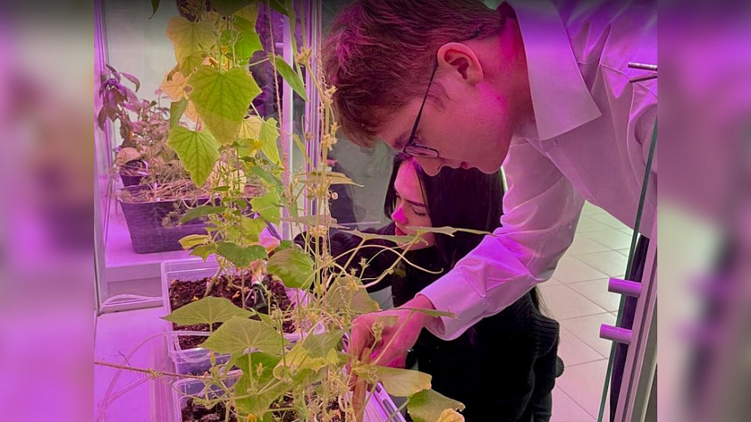 Проект пуровчан «Умная теплица» одержал победу на Всероссийском конкурсе 