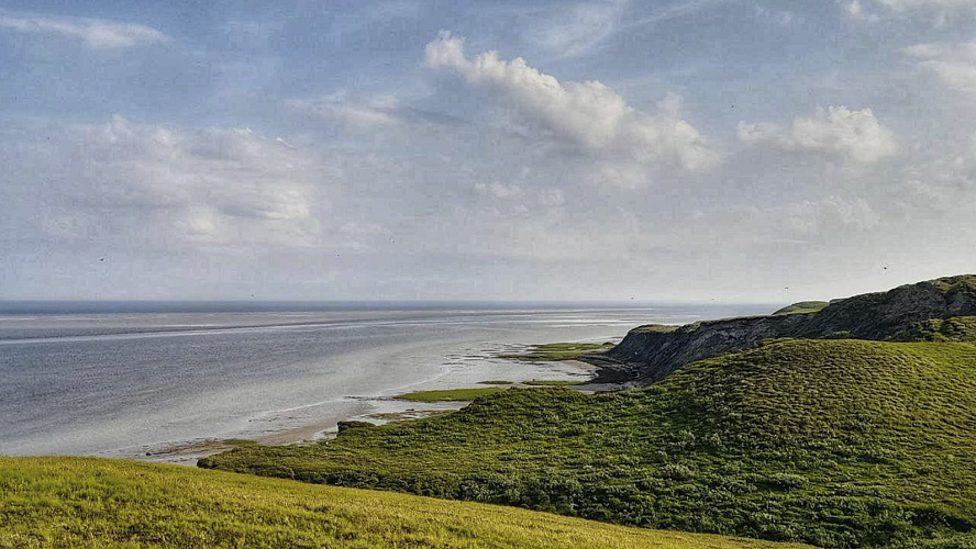 Фото: Tелеграм | Доктор DAA