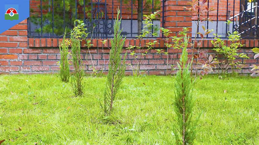 Фото: администрация Надымского района