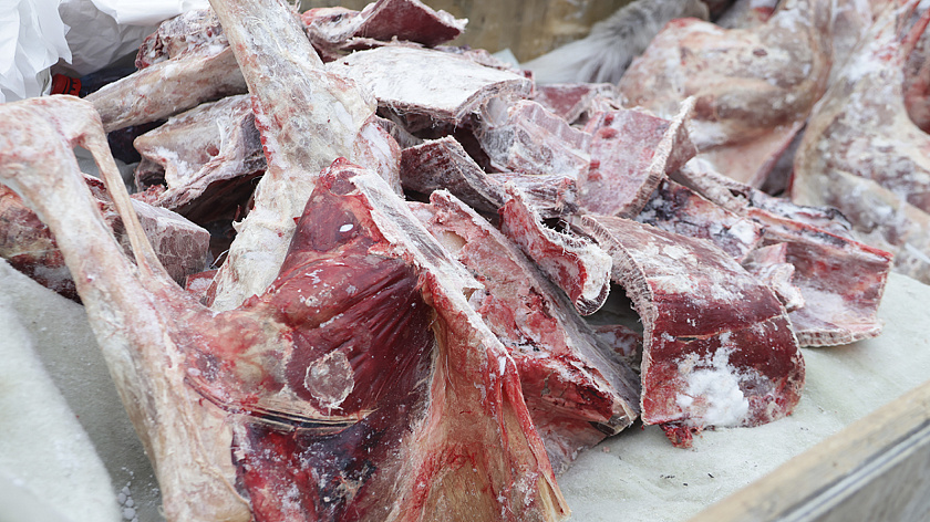 На Ямале убойные комплексы на 10% нарастили заготовку оленины в начале года