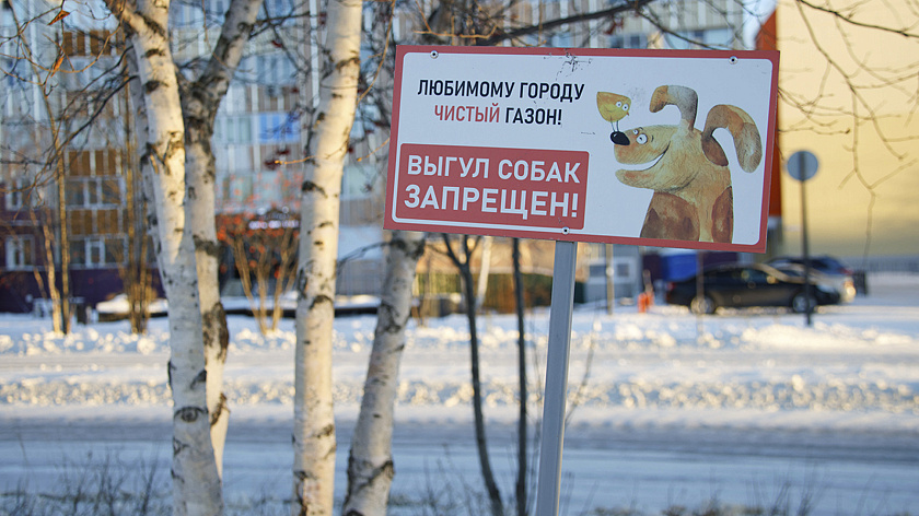 В Петербурге ввели новые правила для владельцев собак