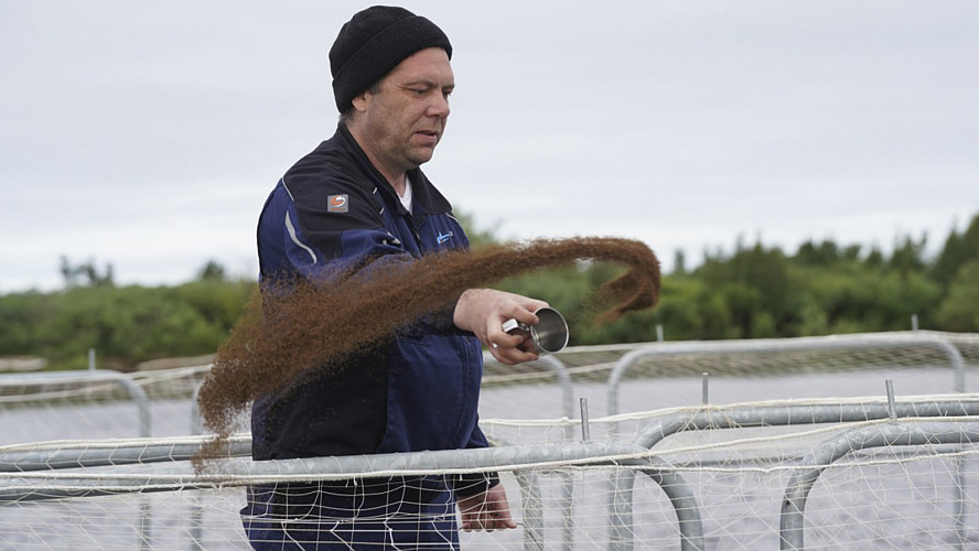 Фото: Тазовский Район. Официально
