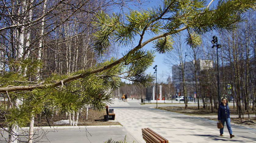 В Красноярске на неделе ожидается потепление до +24 °C