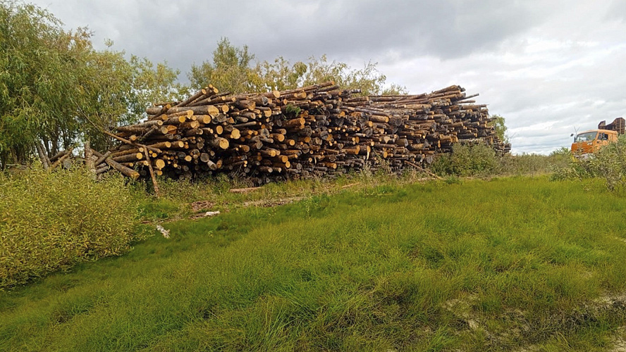 Фото: Тазовский район. Официально.