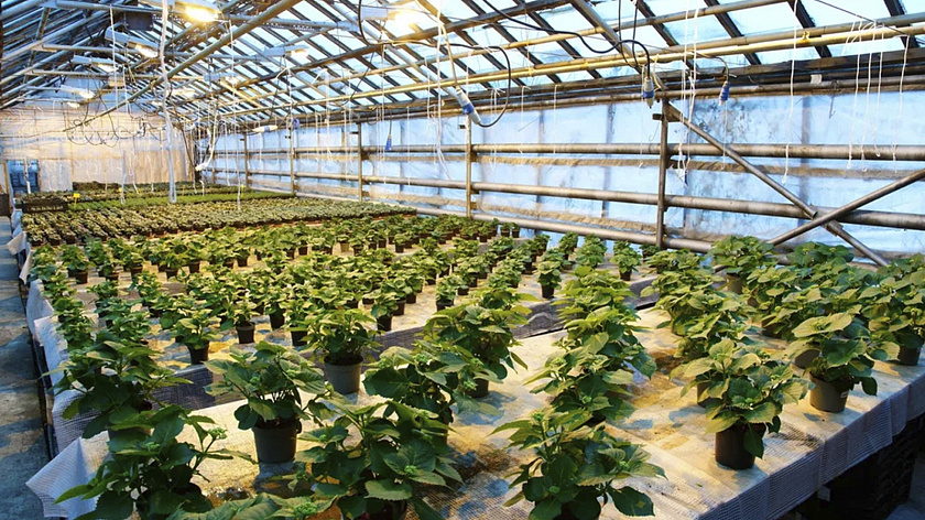 В Надыме отмечается спрос на профессии сферы АПК