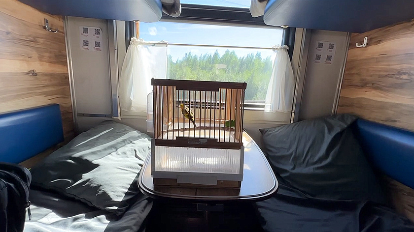 За семь месяцев уральские поезда перевезли более 22 тысяч животных