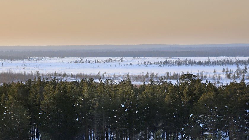 Приуральцы откроют Год здоровья пешим походом на Жёлтую гору 