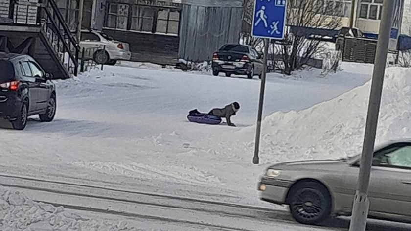 Жители Лабытнанги пожаловались на опасные снежные горки