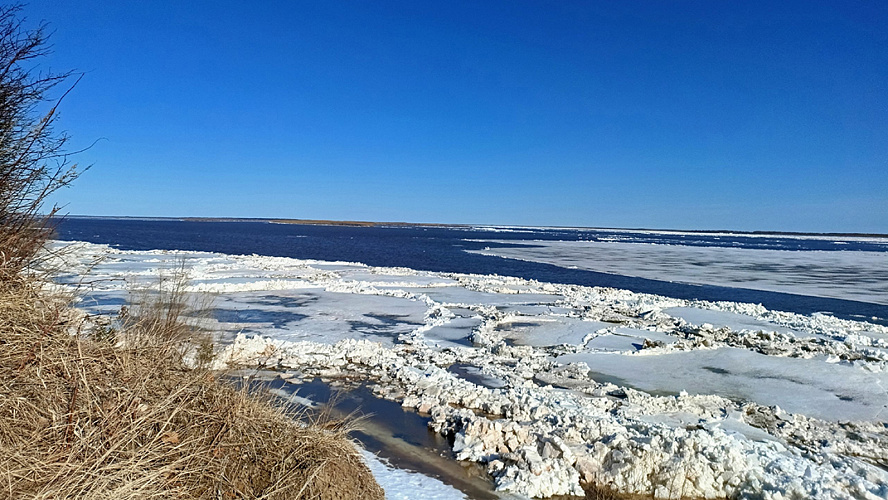Фото: Изольда Сорокина