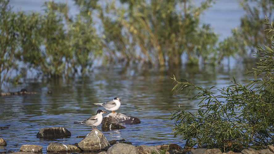 Фото: Данил Хусаинов