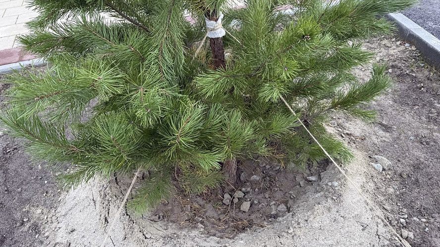 Фото: Департамент тарифной политики,энергетики и ЖКХ ЯНАО