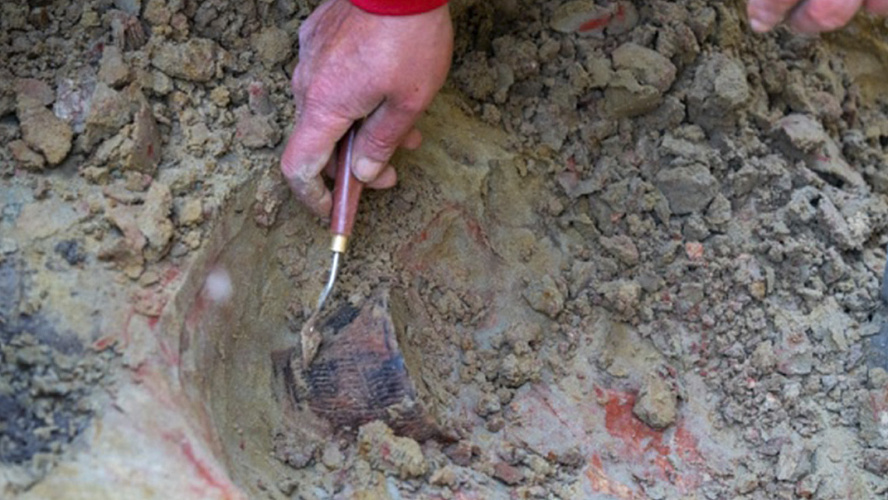 Фото: АНО "Институт археологии Севера"