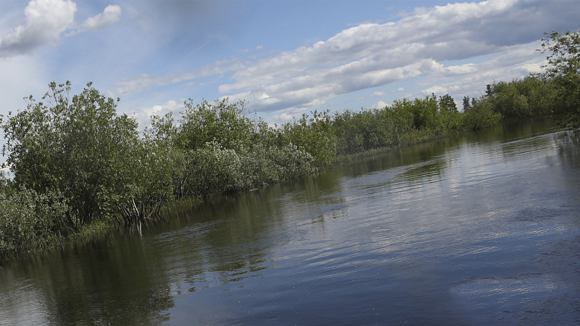 В Надыме и Губкинском дачные участки подтопило талыми водами