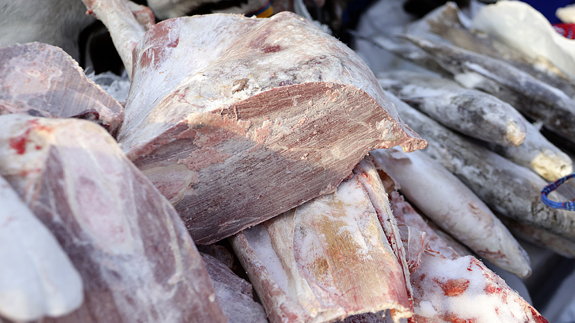 На Ямале начнут работу два новых комплекса по заготовке оленины