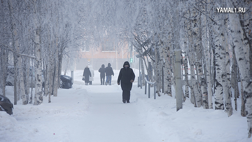 На Ямале перед Рождеством ожидается резкое похолодание